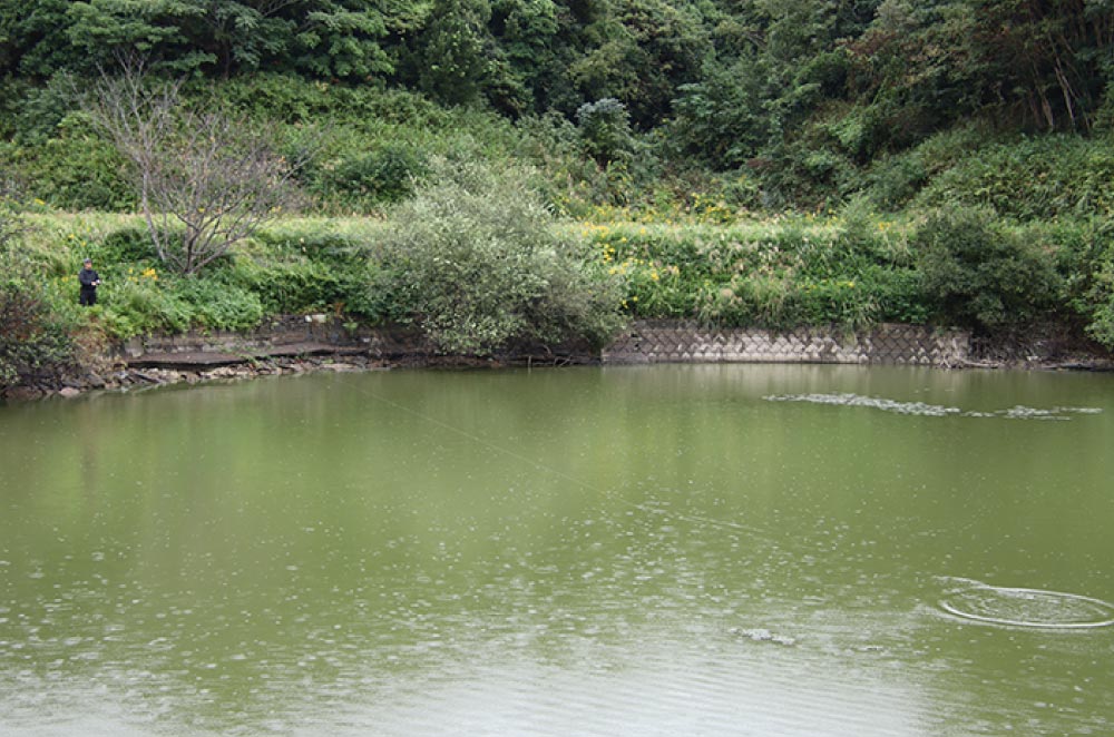 緑に囲まれた中で釣りをする赤松