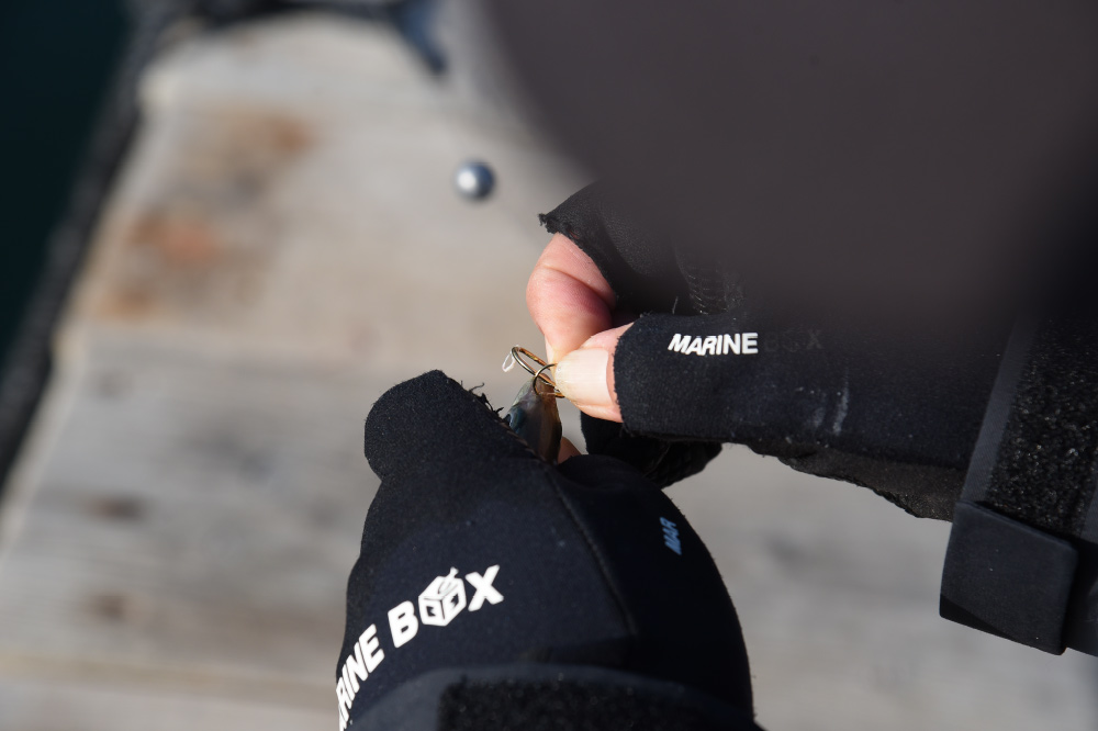 青物泳がせハナカン仕様