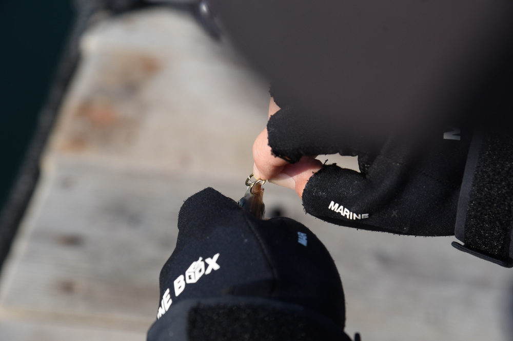 青物泳がせハナカン仕様