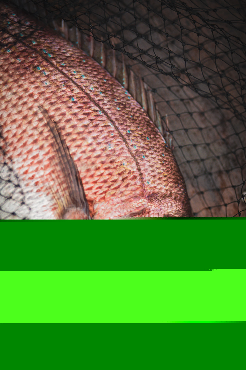 ダイレクトボール