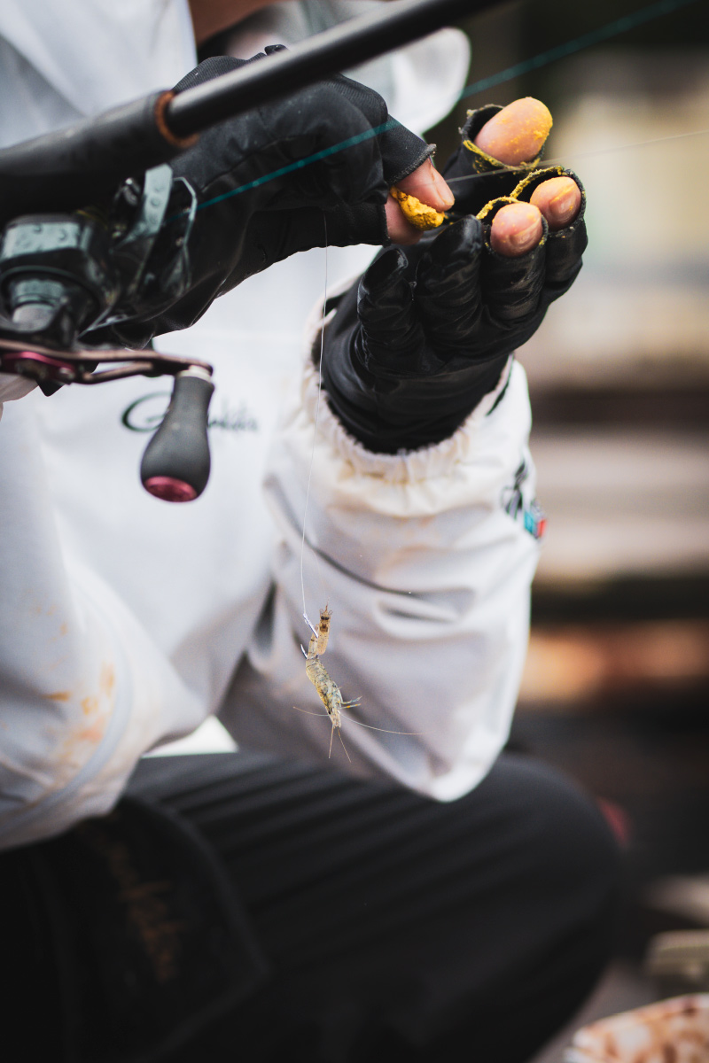 伊勢尼（リアルケイムラ）