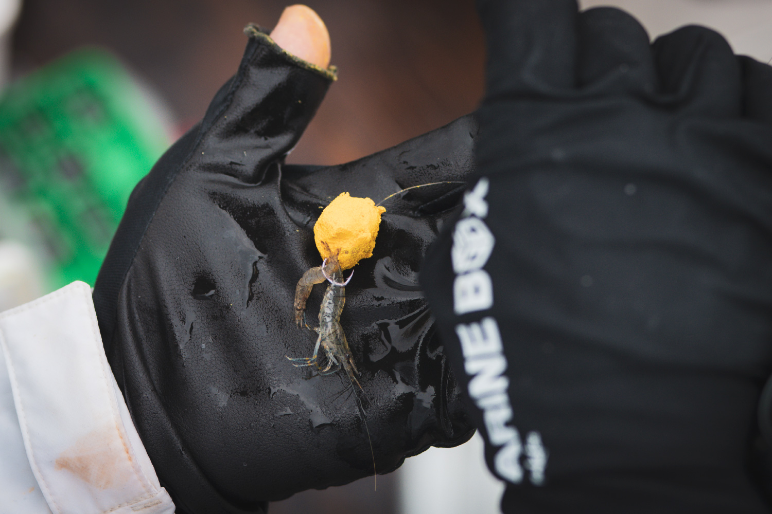 伊勢尼（リアルケイムラ）