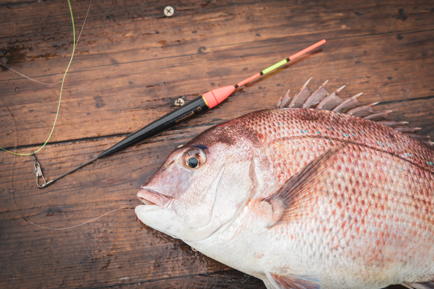 高感度EVA棒ウキ