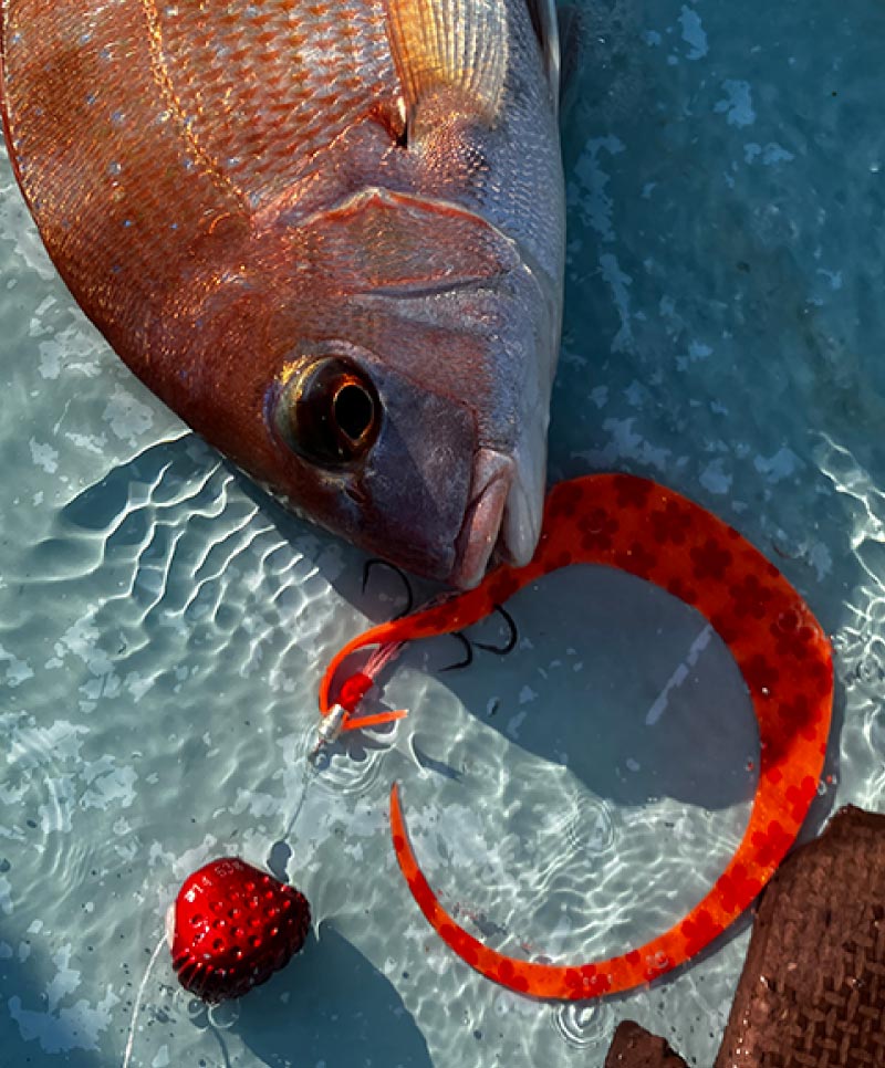 LUXXE 桜幻　メガシングルカーリー & 桜カーリー