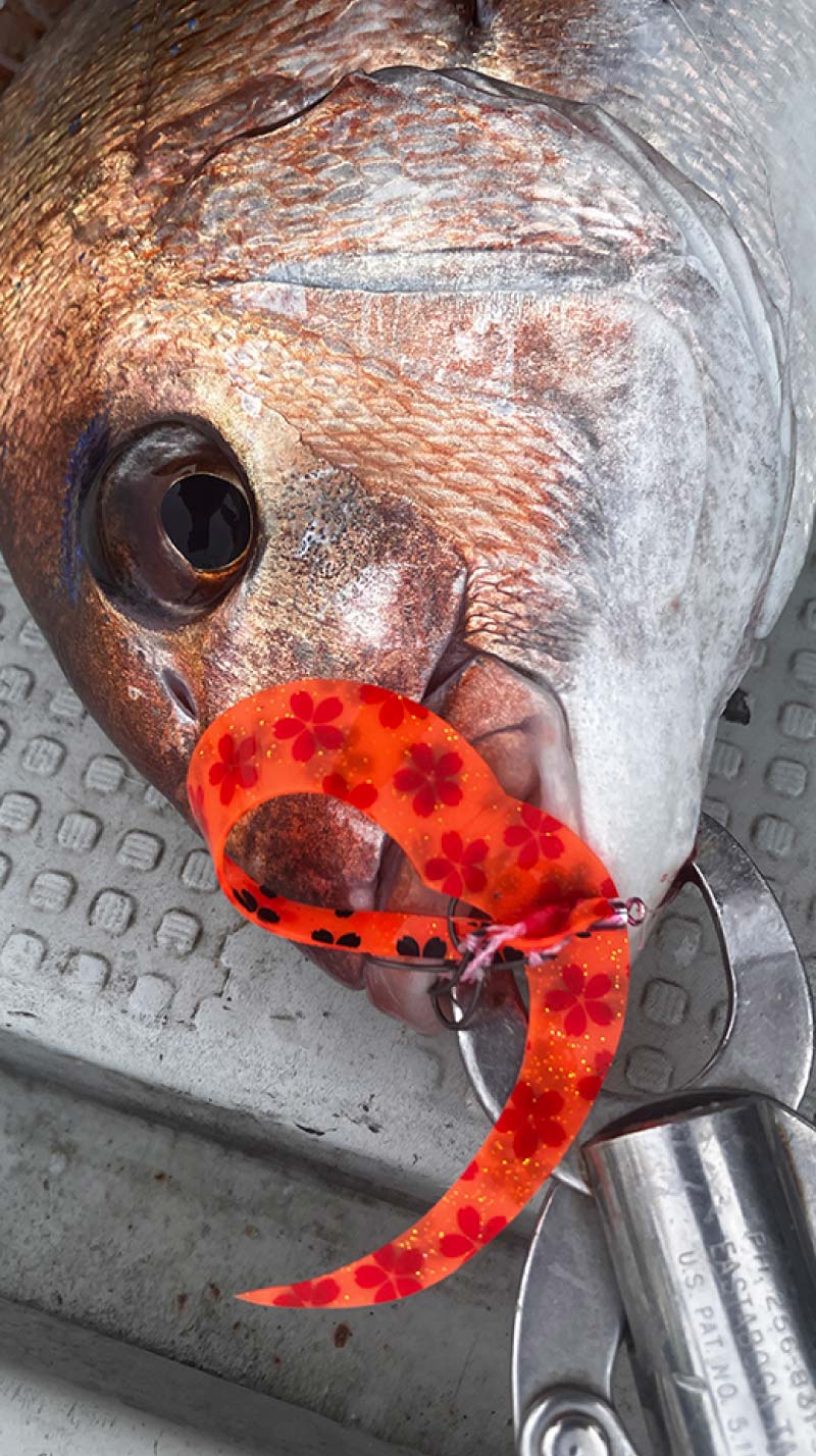 LUXXE 桜幻　メガシングルカーリー & 桜カーリー