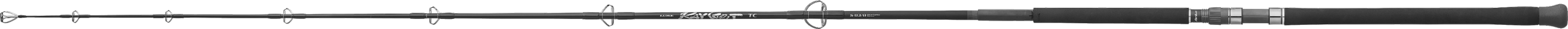 LUXXE RAYGRIT TC S83/8 竿画像