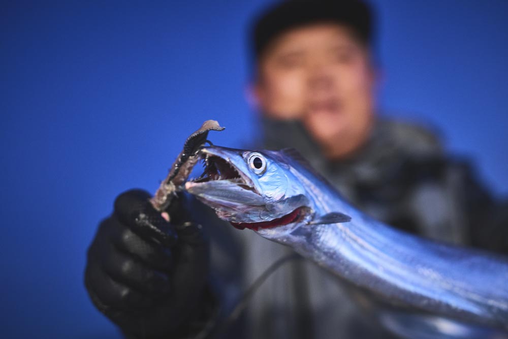 中山が持つ、釣り上げたタチウオの上半身。