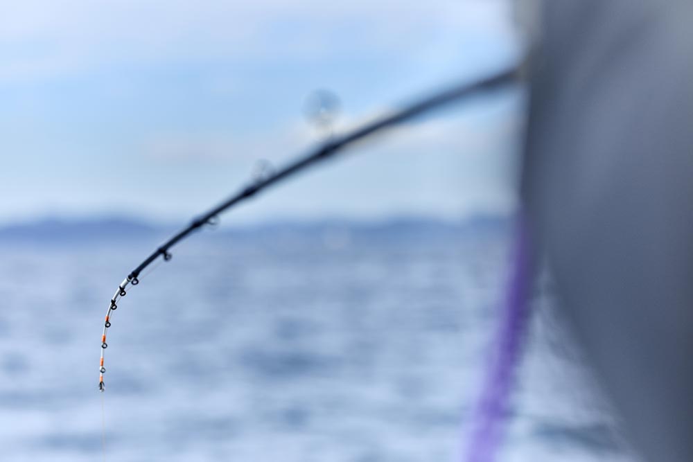 緩く曲がるTTフリークの穂先