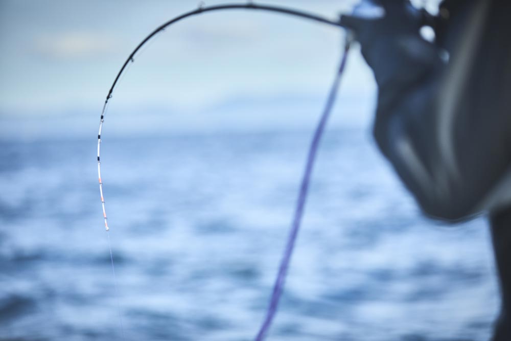 大きく弧を描く竿