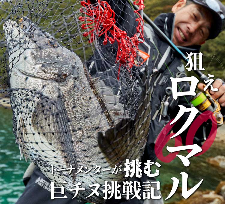 「狙えロクマル トーナメンターが挑む巨チヌ挑戦記」記事リンクバナー