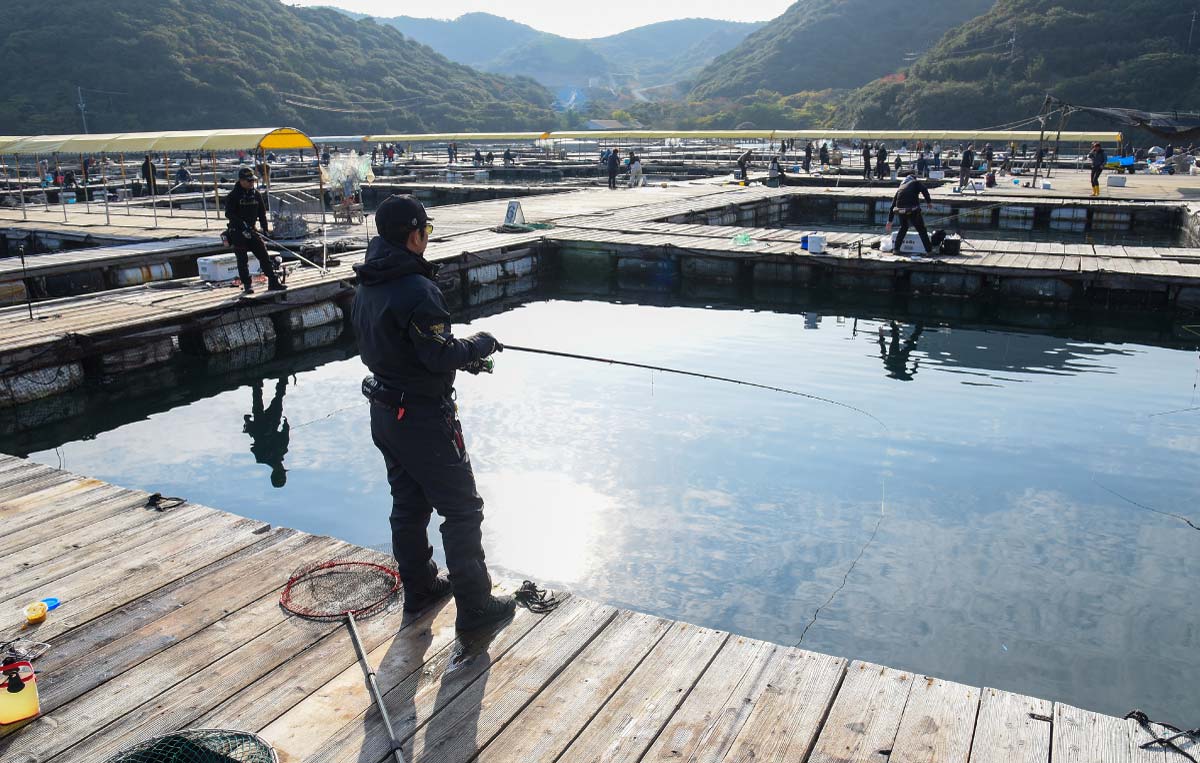 海上釣堀に仕掛けを下ろし、水面を見つめる中嶋