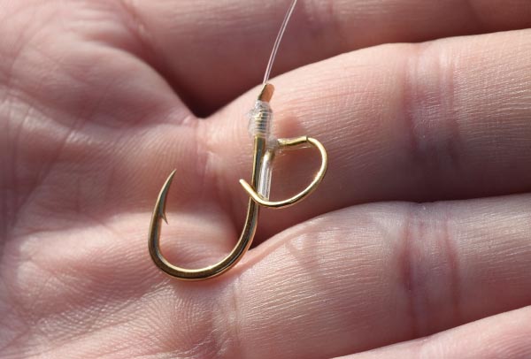 青物泳がせハナカン仕様を取り付けたラインの先