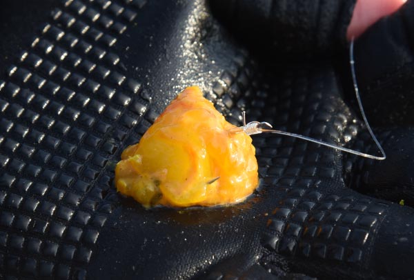 鈎に付けられた、エサの黄色く染めたアルゼンチン赤エビ