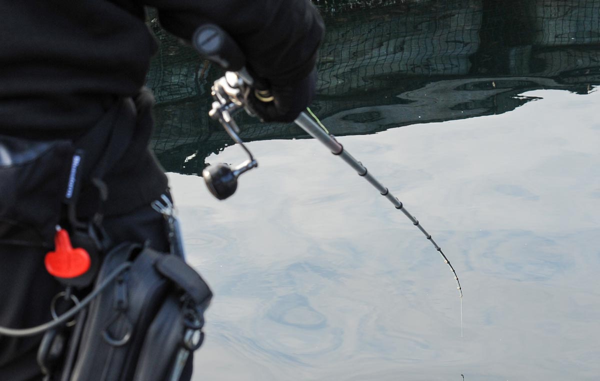 沖長が操作しているさぐり青物350