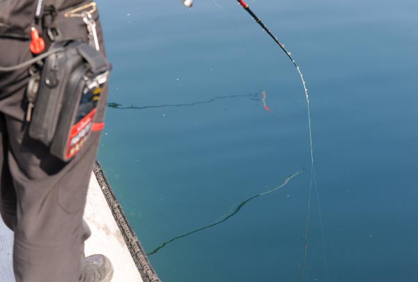網際ギリギリの水中に仕掛けを落とし、アタリを待っている様子