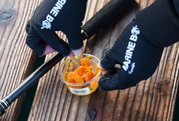 アルゼンチン赤エビの味噌漬けを仕掛けに取り付ける様子