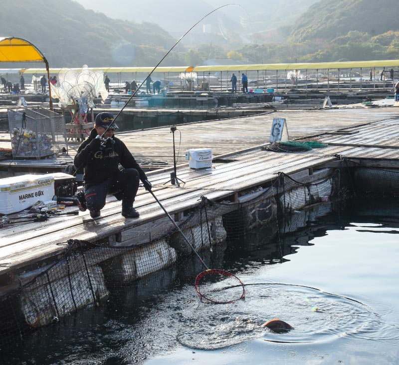 右手に竿を持ったまま、釣り上げた魚へ左手のタモを近づけていく沖長