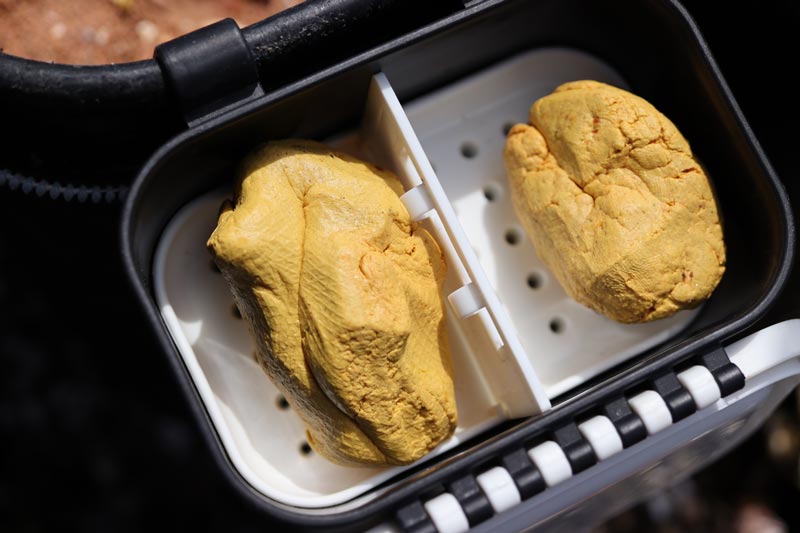 ケースに収められた黄色の練り餌