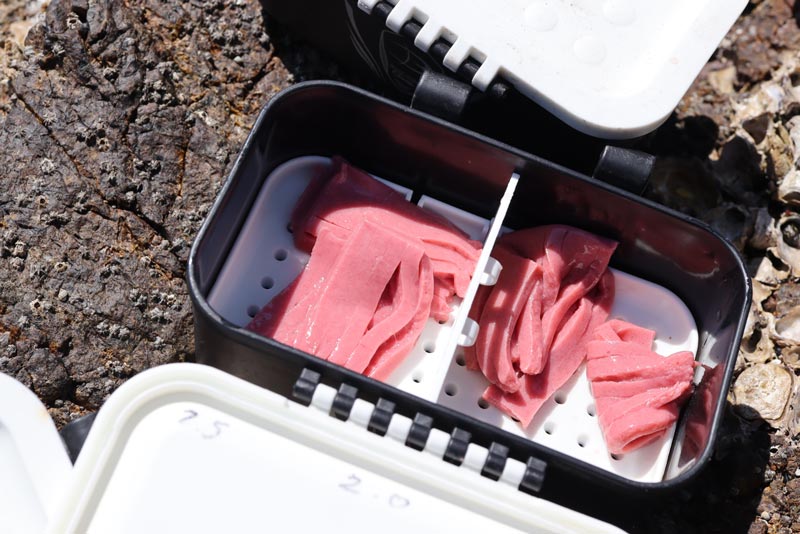 ケースに収められたピンク色の人工サシ餌