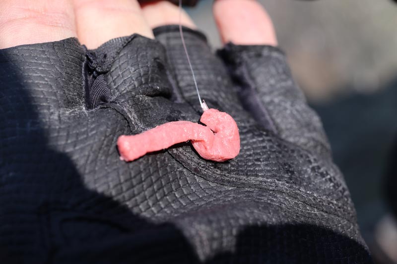 ピンク色の人工サシ餌を鈎につけた様子