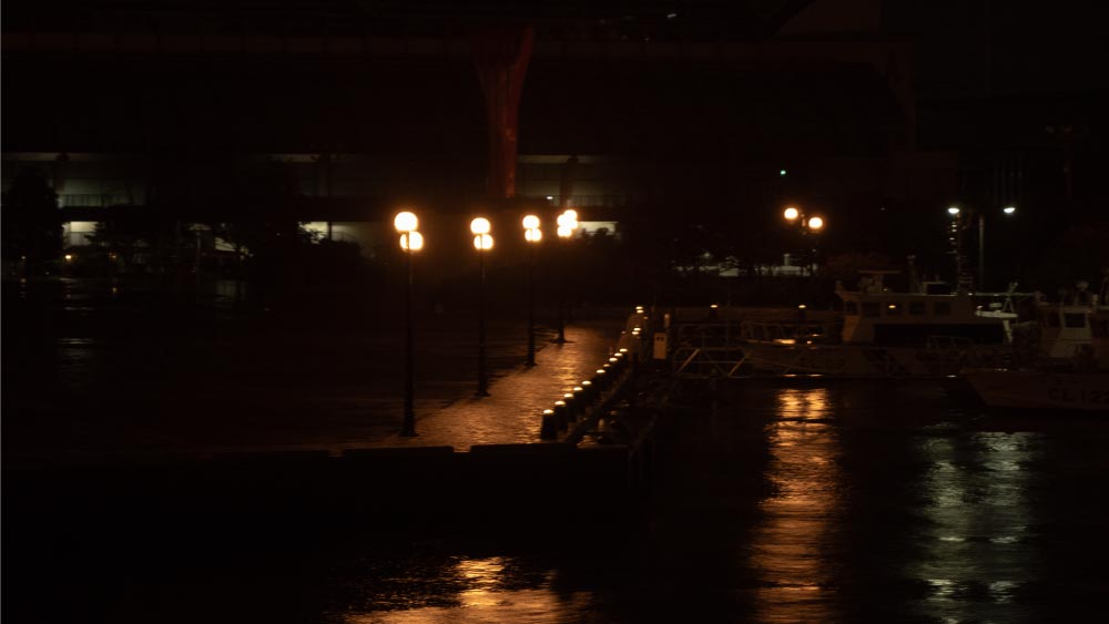 街灯が照らす、夜の堤防の写真