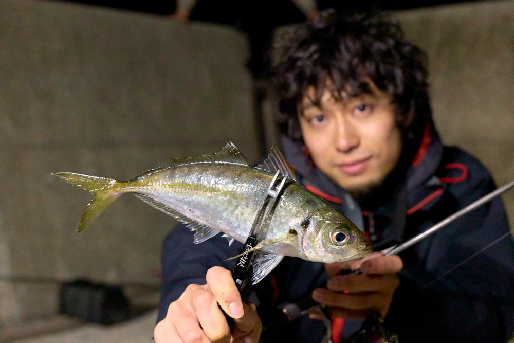 黒神樹 写真