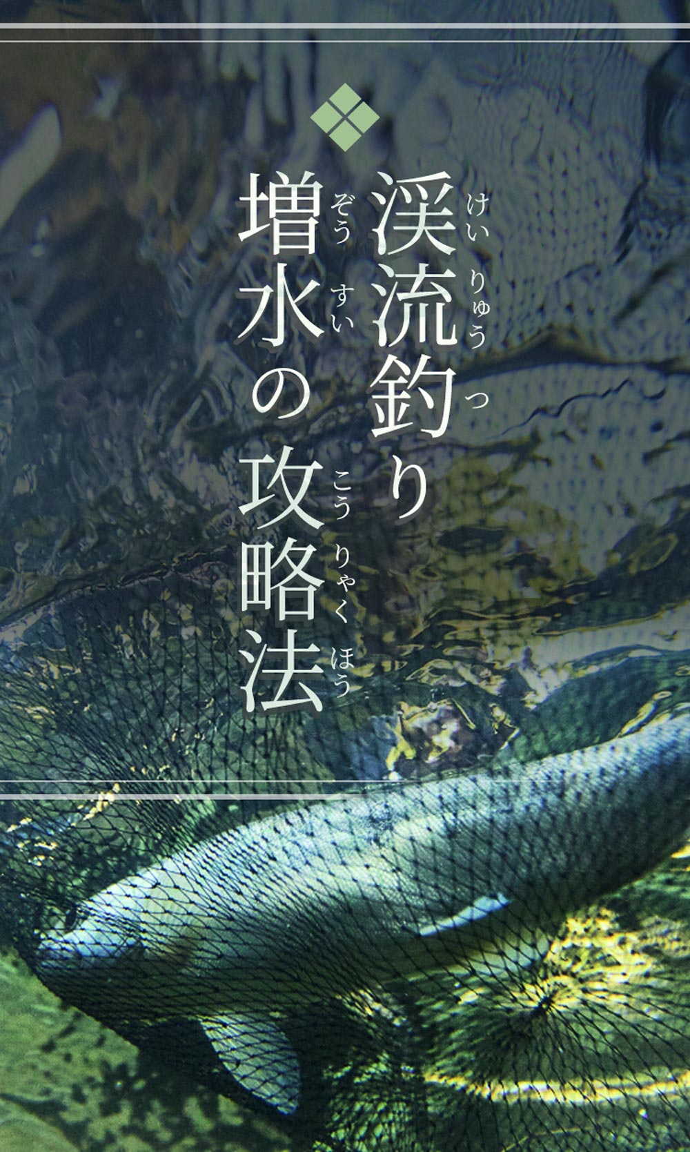 渓流釣り 増水の攻略法