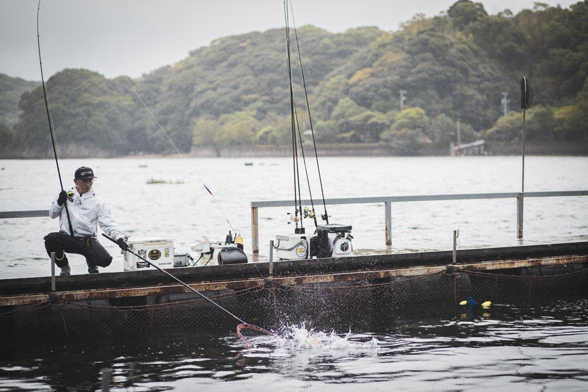 左手に持つ竿を立て、右手でタモ網を使い掛けた魚を収めようとしている男性