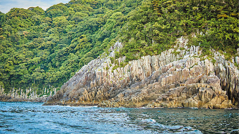 立神の高場を海側から撮影した写真
