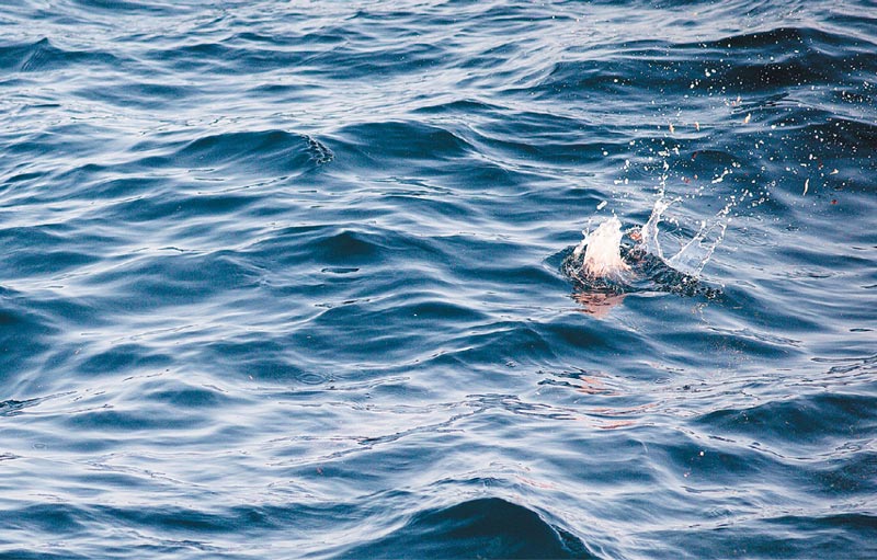 撒き餌が着水した瞬間。着水場所から飛沫が上がっている。