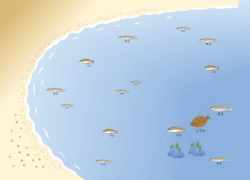 砂浜で釣れる魚の種類と釣れる位置の図解