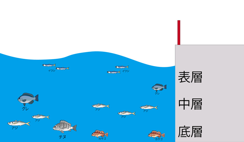 層(タナ)によって釣れる魚の図解