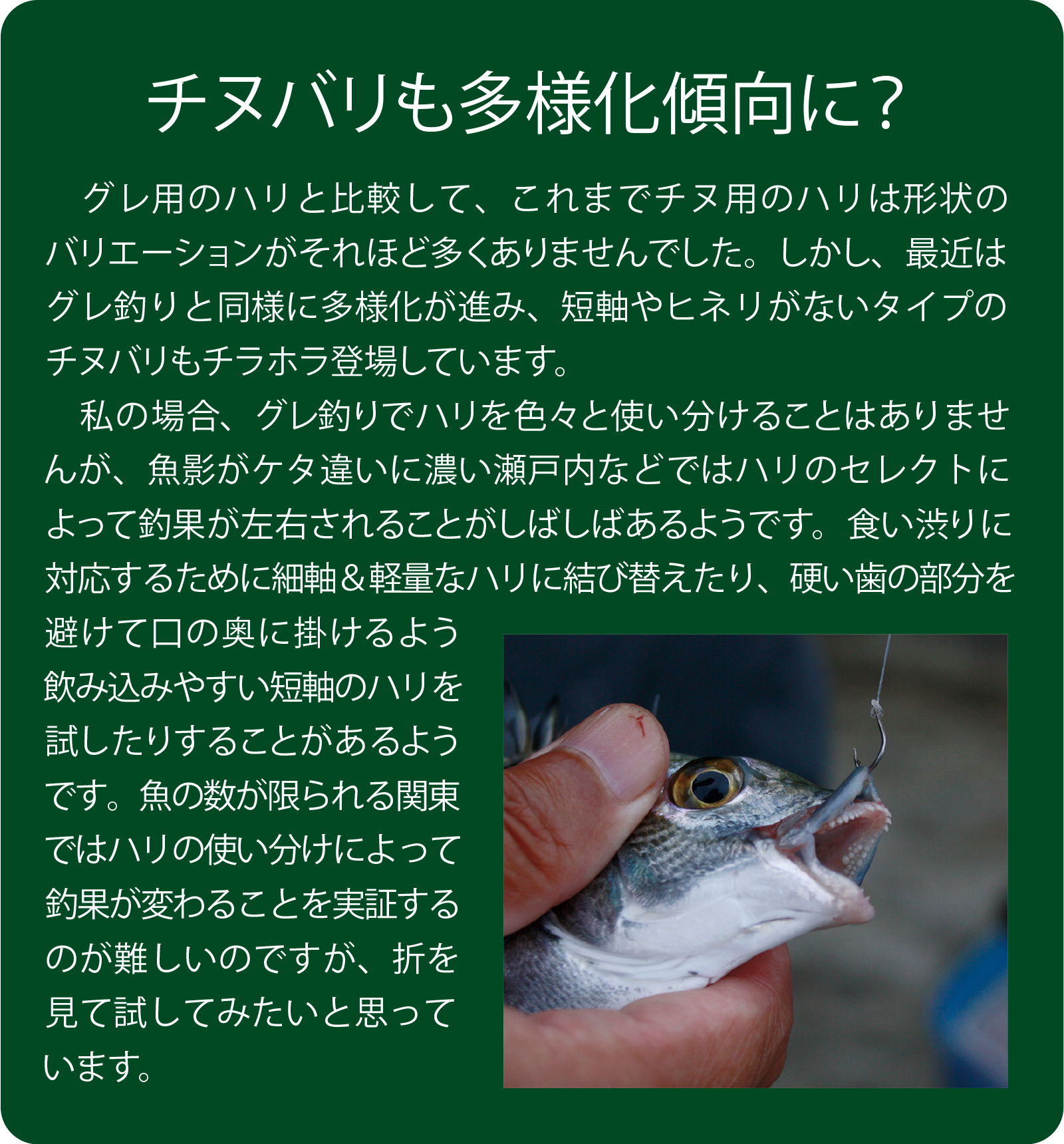 久保野孝太郎「ウキフカセ秘伝」画像12