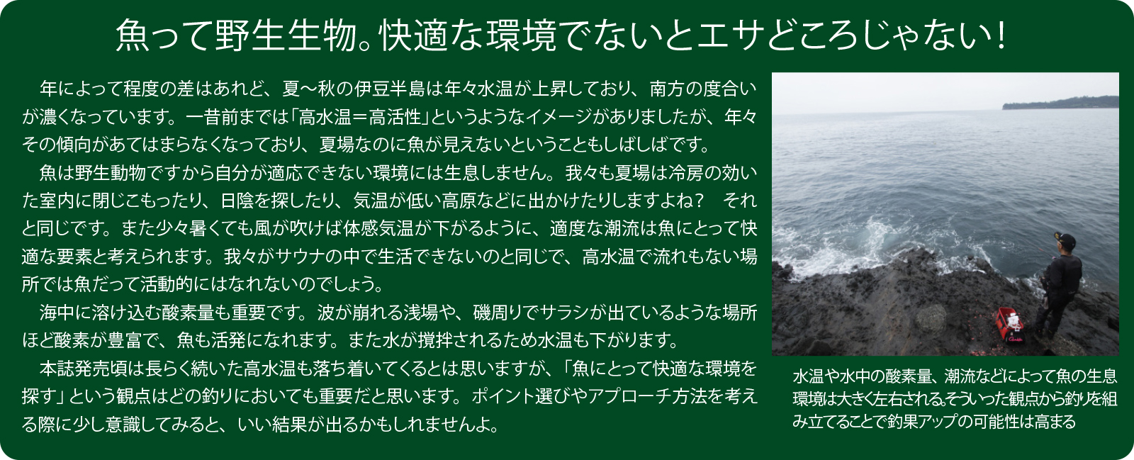 久保野孝太郎「ウキフカセ秘伝」画像18