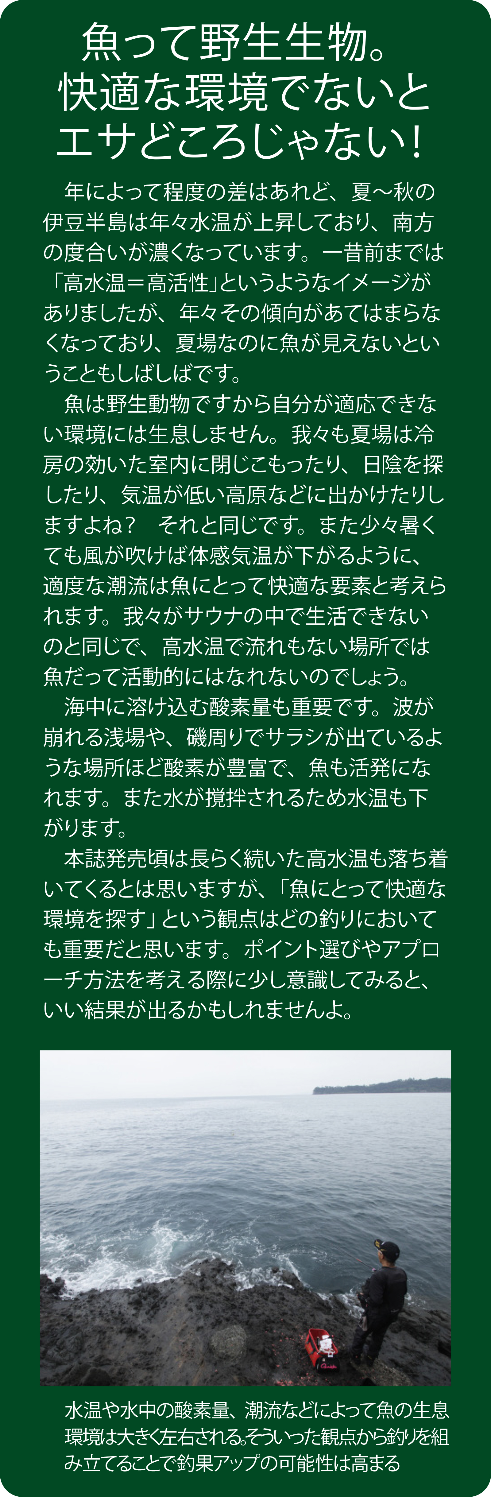 久保野孝太郎「ウキフカセ秘伝」画像18