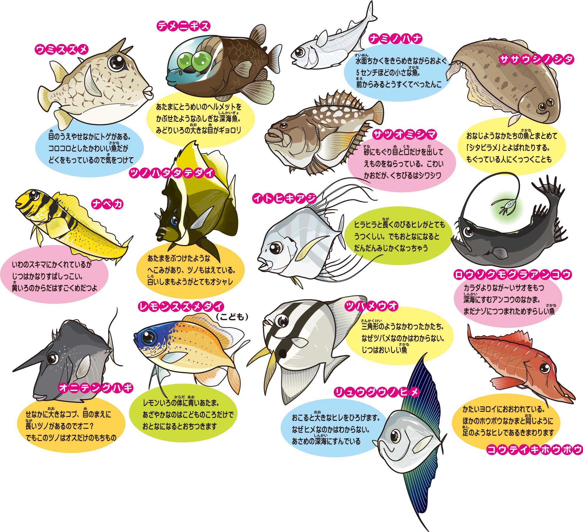 ちょっと変わったお魚図鑑