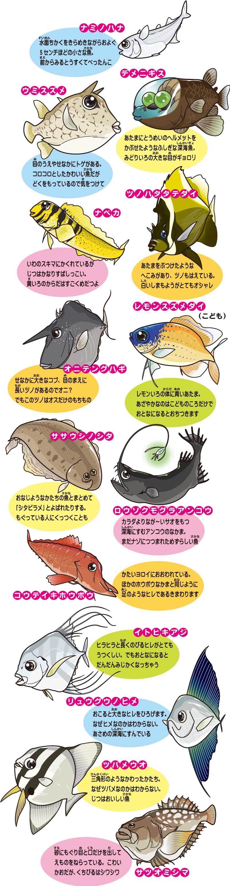 ちょっと変わったお魚図鑑