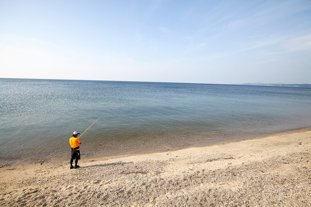 サーフでは、崩れる波によって砂が掘り起こされ餌となるゴカイ類が浮遊しやすいので、波打ち際も好ポイントになります。また、近投エリアにカケアガリがあることが多いなど、キャストに不安があるビギナーでも楽しめる好ポイントです。