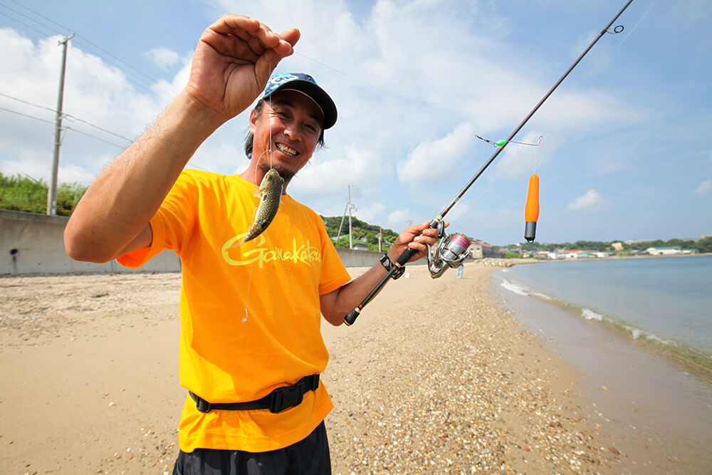 引き釣りにつきもののクサフグ。ハリスを噛み切る厄介者とあってできれば釣りたくないですが、かわいらしい見た目とあって子供には人気があります。