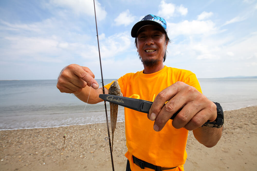 クサフグ同様によく釣れるガッチョ。こちらは食味が良好です。エラ部分にトゲがあるためフィッシュグリップなどでつかみましょう。