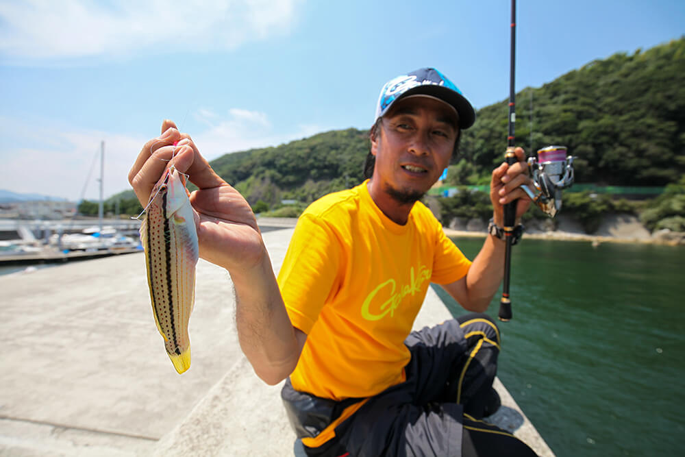 キュウセンも頻繁にアタります。魚体の模様は独特ですが、食味は良好です。