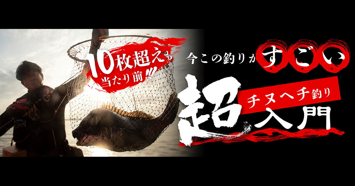 今この釣りがすごい】10枚超えも当たり前！チヌヘチ釣り超入門