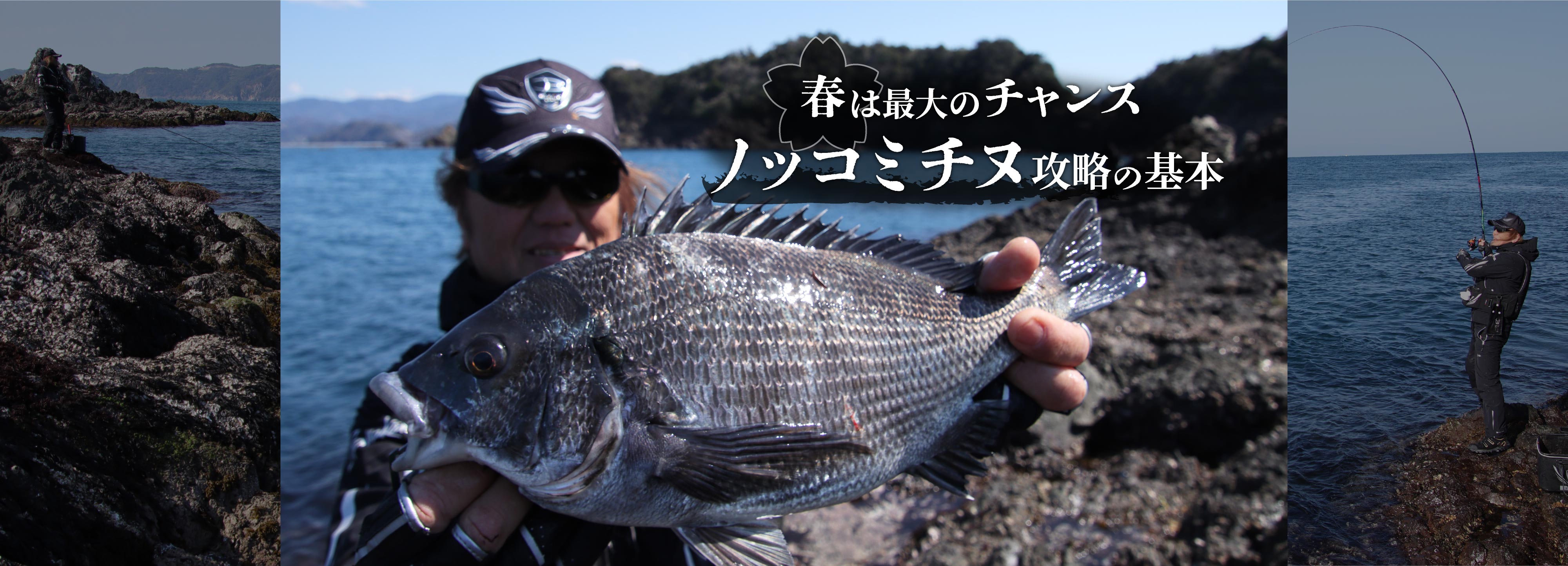春は最大のチャンス ノッコミチヌ攻略の基本