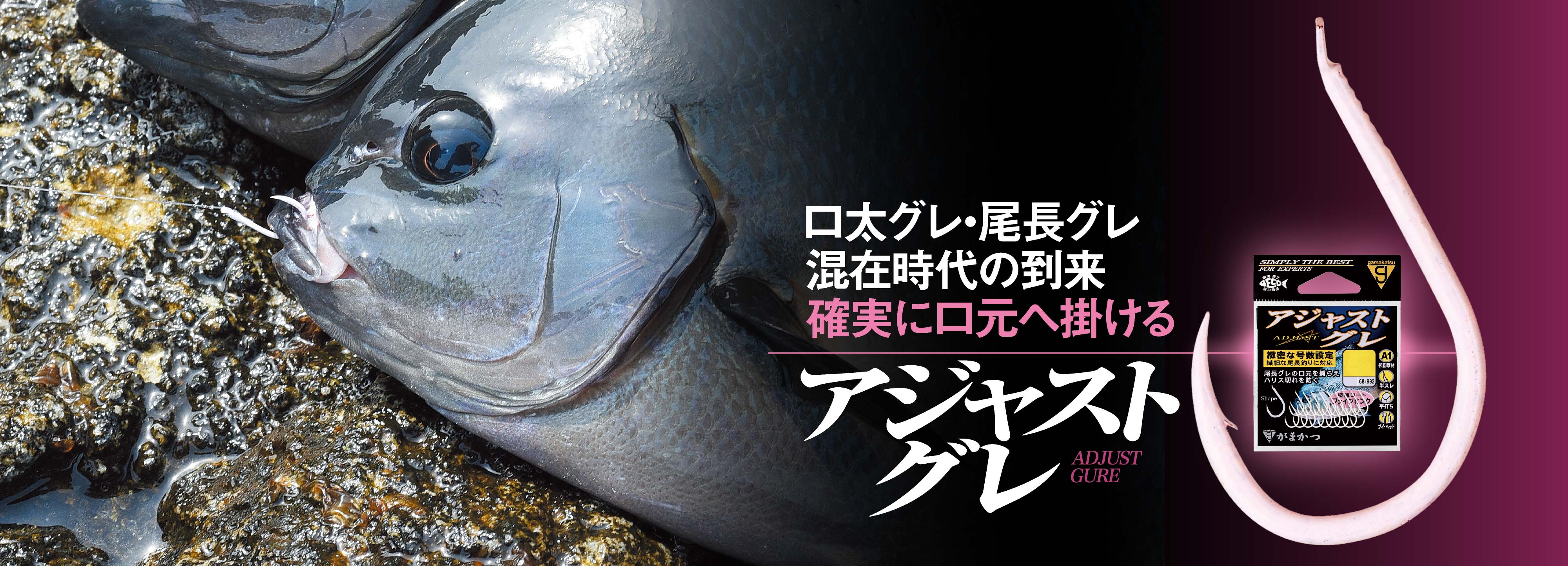 口太グレ・尾長グレ混在時代の到来 確実に口元へ掛けるアジャストグレ
