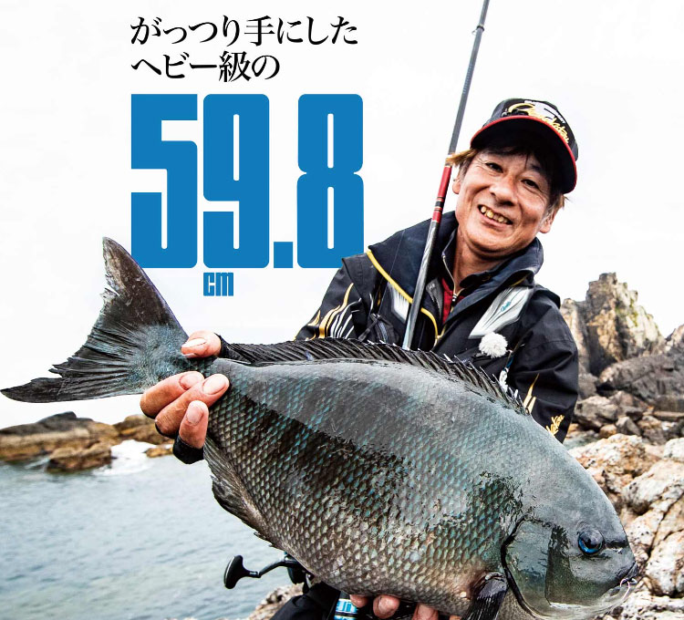 リョービヘチプロ180 リョービヘチプロ180 【公式通販】