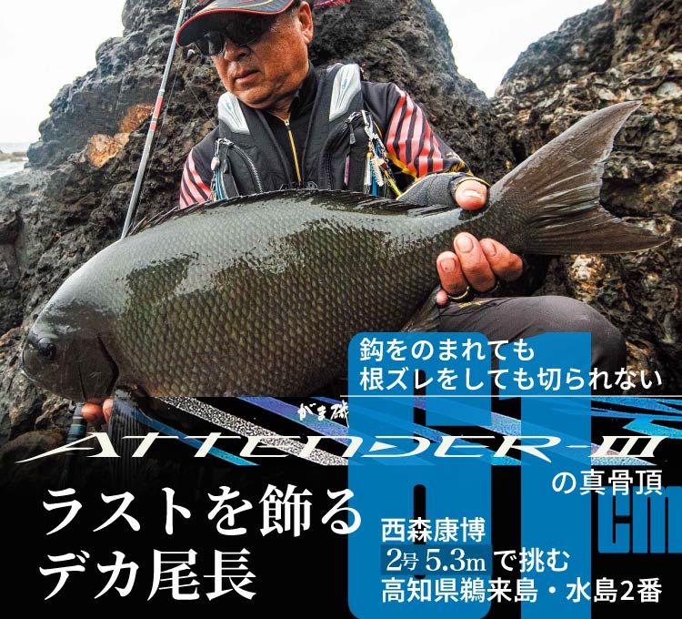 がま石 放さ がまかつ NFT パワーループ アドバンス540MH Gamakatsu