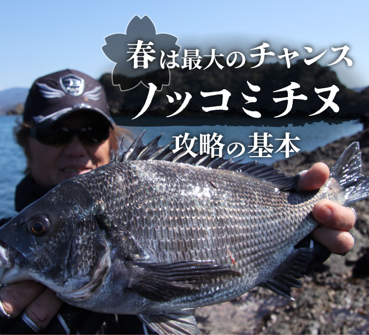 春は最大のチャンス ノッコミチヌ攻略の基本