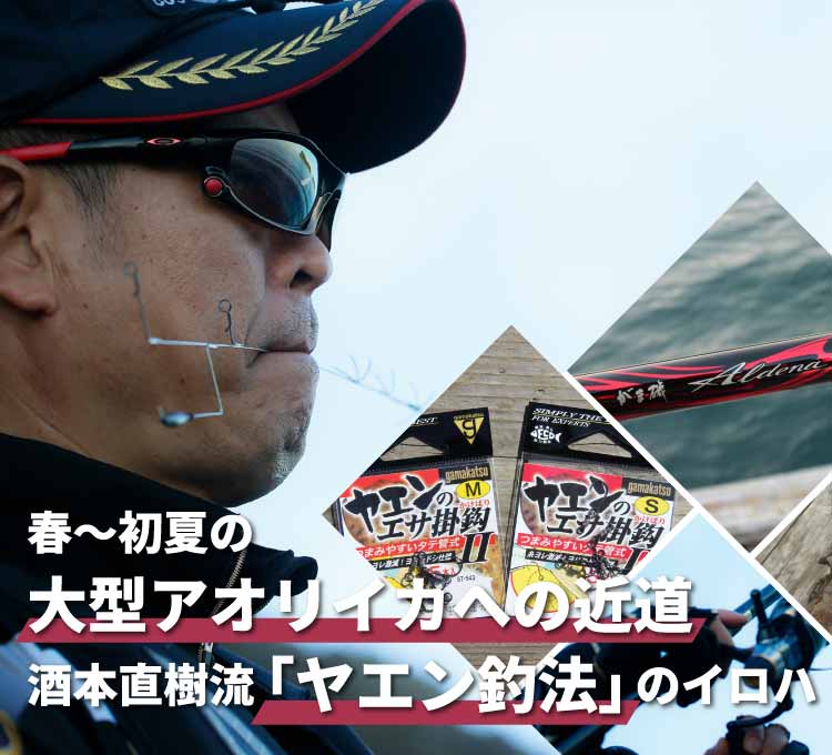 春〜初夏の大型アオリイカへの近道　酒本直樹流「ヤエン釣法」のイロハ