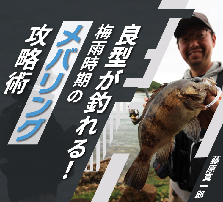 良型が釣れる！梅雨時期のメバリング攻略術