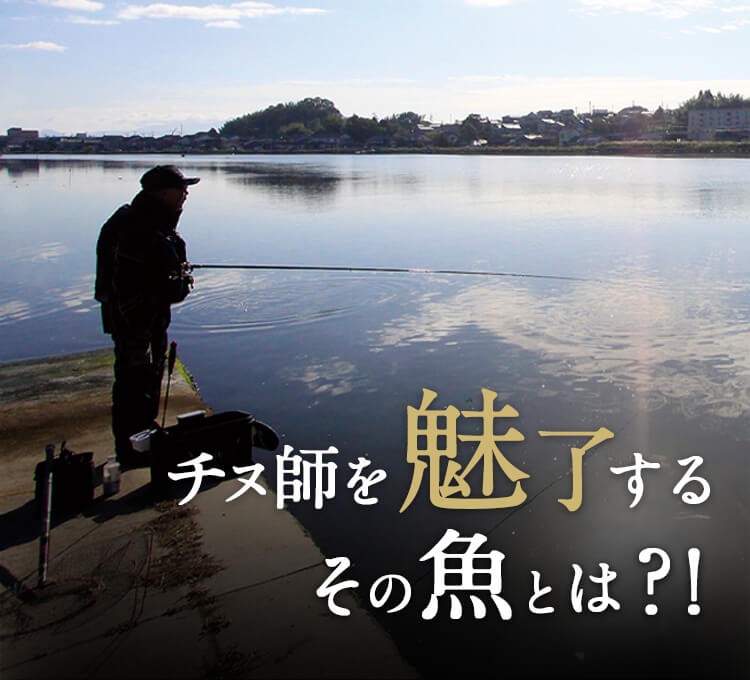 がまかつ